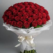 Букет 101 Красная роза Блэк Мэджик в Бабаево