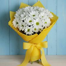 Букет цветов из:  Хризантемы в Бабаево