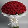 Букет 101 Красная роза Блэк Мэджик в Бабаево