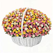 Премиум букет из: Розы в Бабаево