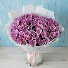 Букет цветов из:  Хризантемы в Бабаево