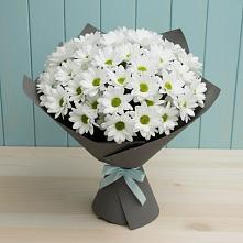 Букет цветов из:  Хризантемы #REPLACE_PRED# Бабаево