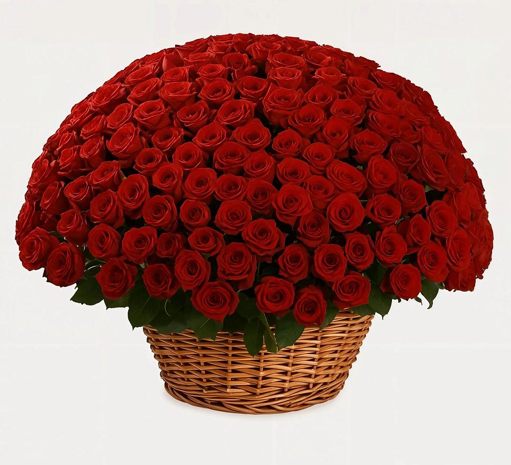 Премиум букет из: Розы в Бабаево