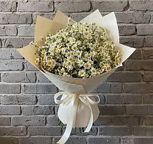 Букет цветов из:  Ромашки в Бабаево