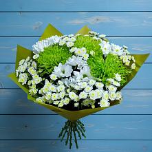 Букет цветов из:  Хризантемы в Бабаево