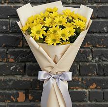 Букет цветов из:  Хризантемы в Бабаево