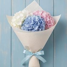 Букет цветов из:  Гортензия в Бабаево