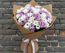 Букет цветов из:  Хризантемы в Бабаево