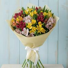 Букет цветов из:  Альстромерии в Бабаево