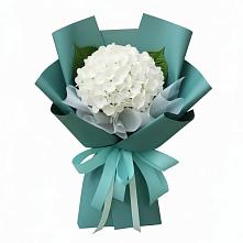 Букет цветов из:  Гортензия в Бабаево